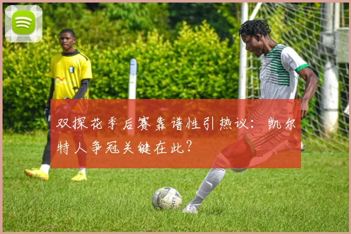 双探花季后赛靠谱性引热议：凯尔特人争冠关键在此？