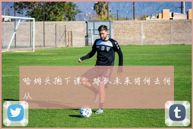 哈姆头孢下课：球队未来将何去何从