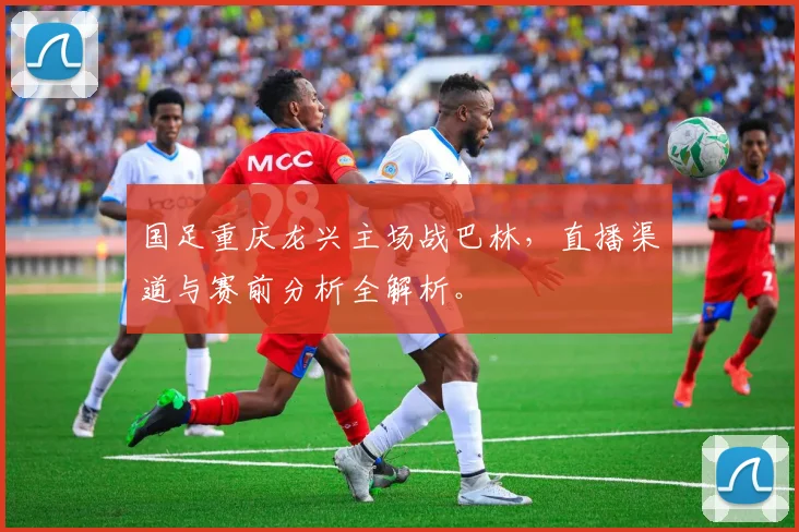国足重庆龙兴主场战巴林,直播渠道与赛前分析全解析。